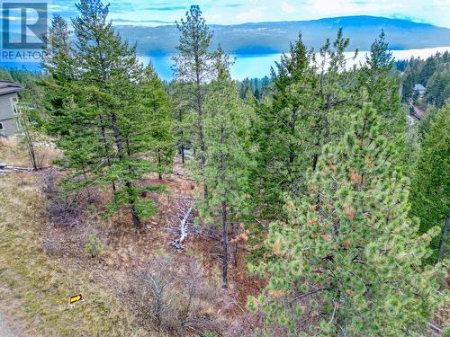 View toward North East - 10751 Westshore Road, Vernon, BC 