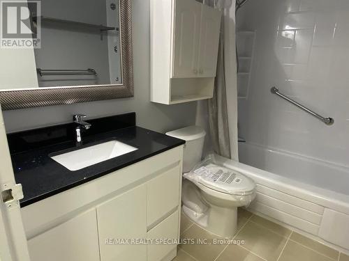 206 - 3695 Kaneff Crescent, Mississauga, ON - Indoor Photo Showing Bathroom