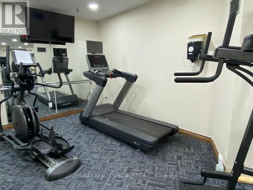 206 - 3695 Kaneff Crescent, Mississauga, ON - Indoor Photo Showing Gym Room