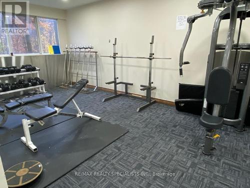 206 - 3695 Kaneff Crescent, Mississauga, ON - Indoor Photo Showing Gym Room