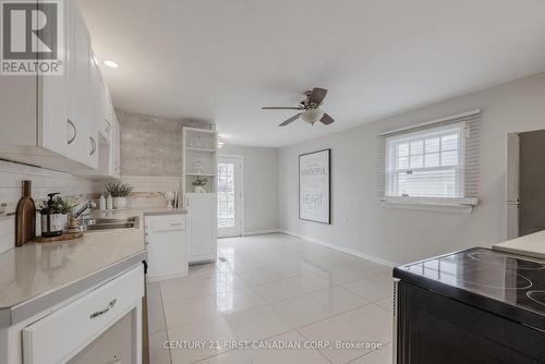 113 Appel Street, London, ON - Indoor Photo Showing Kitchen With Double Sink