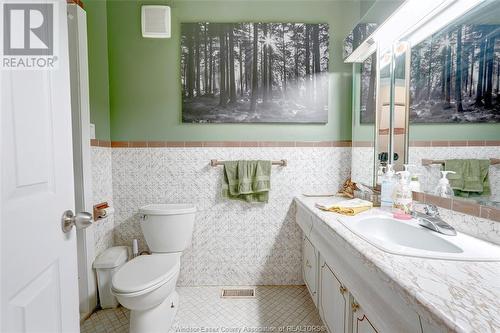 9630 Walker Road, Mcgregor, ON - Indoor Photo Showing Bathroom