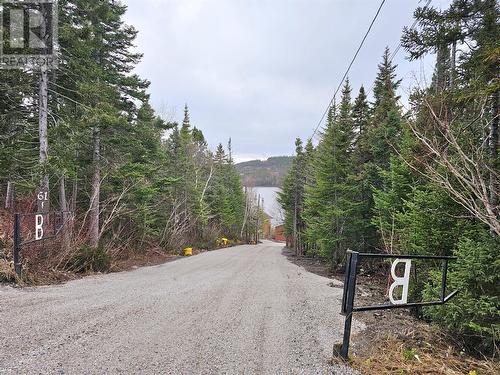 61 Main Road, Pinchgut Lake, NL - Outdoor