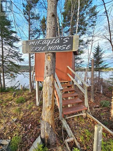 61 Main Road, Pinchgut Lake, NL - Outdoor