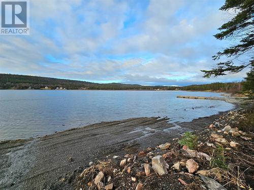 61 Main Road, Pinchgut Lake, NL - Outdoor With Body Of Water With View