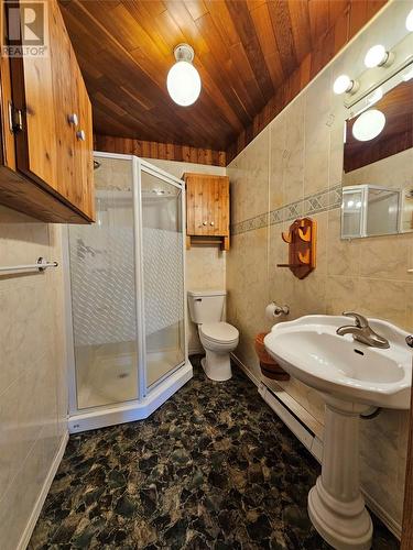 61 Main Road, Pinchgut Lake, NL - Indoor Photo Showing Bathroom