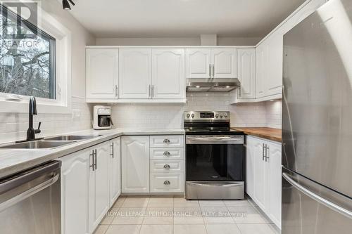 972 Harkness Avenue, Ottawa, ON - Indoor Photo Showing Kitchen With Double Sink