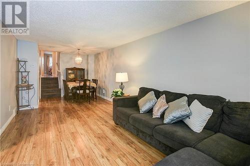 Living room with a chandelier, light hardwood / wood-style floors, and a textured ceiling - 220 Bankside Drive, Kitchener, ON - Indoor Photo Showing Living Room