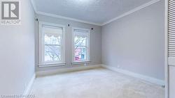 Empty room featuring lofted ceiling, light colored carpet, a textured ceiling, and ornamental molding - 