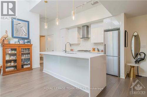 102 - 530 De Mazenod Avenue, Ottawa, ON - Indoor Photo Showing Kitchen With Upgraded Kitchen