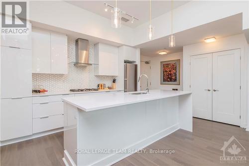 102 - 530 De Mazenod Avenue, Ottawa, ON - Indoor Photo Showing Kitchen With Upgraded Kitchen