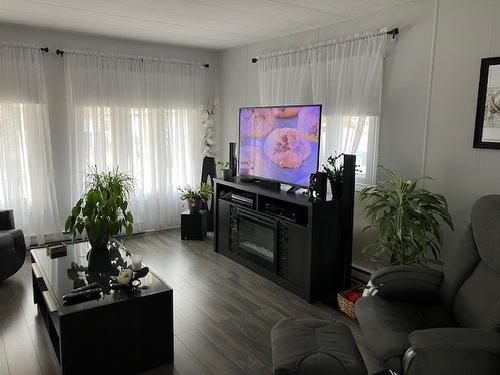 Living room - 2 3E Avenue O., Gatineau (Gatineau), QC - Indoor Photo Showing Living Room