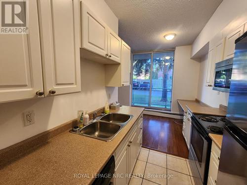 106 - 6400 Huggins Street, Niagara Falls, ON - Indoor Photo Showing Kitchen With Double Sink