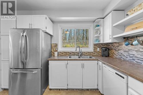 255 Kingham Road, Halton Hills, ON - Indoor Photo Showing Kitchen With Double Sink