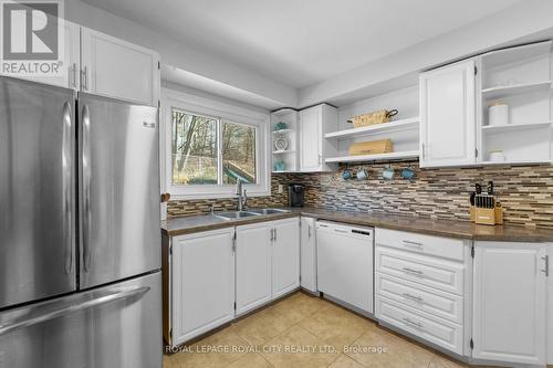 255 Kingham Road, Halton Hills, ON - Indoor Photo Showing Kitchen With Double Sink