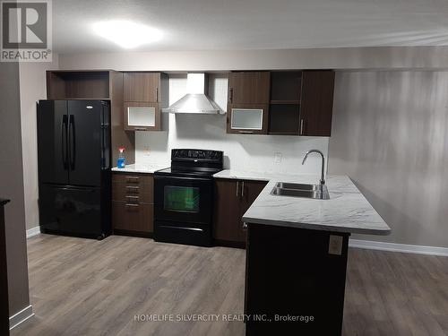 75 Sherway Street, Hamilton, ON - Indoor Photo Showing Kitchen With Double Sink