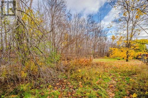 1399 Augustine Drive, Burlington, ON - Outdoor With View