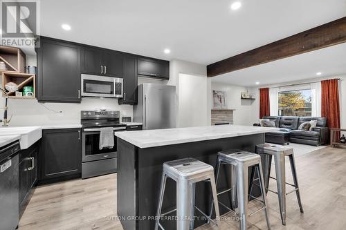 1200 Lancaster Street, London, ON - Indoor Photo Showing Kitchen With Upgraded Kitchen