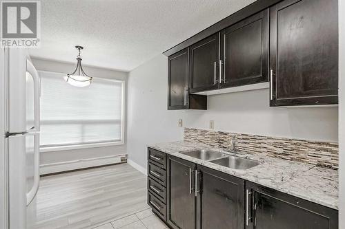 202, 219 Huntington Park Bay Nw, Calgary, AB - Indoor Photo Showing Kitchen With Double Sink With Upgraded Kitchen