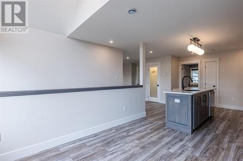 8 Ocean View Brae Other, Bay Bulls, NL - Indoor Photo Showing Kitchen