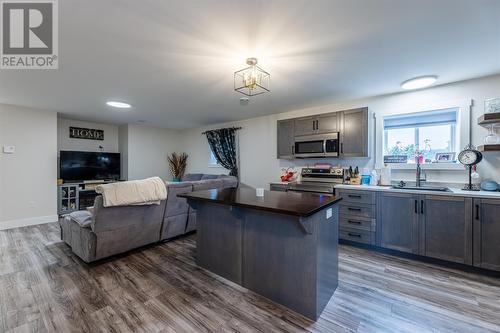 8 Ocean View Brae Other, Bay Bulls, NL - Indoor Photo Showing Kitchen