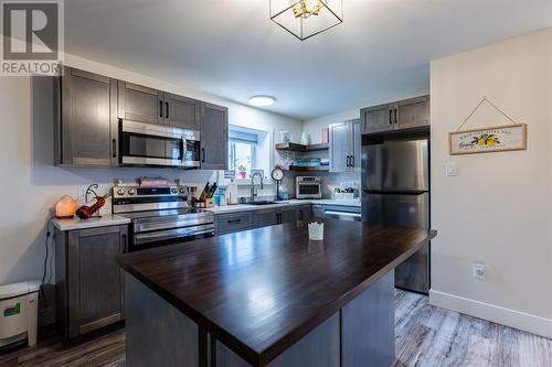 8 Ocean View Brae Other, Bay Bulls, NL - Indoor Photo Showing Kitchen