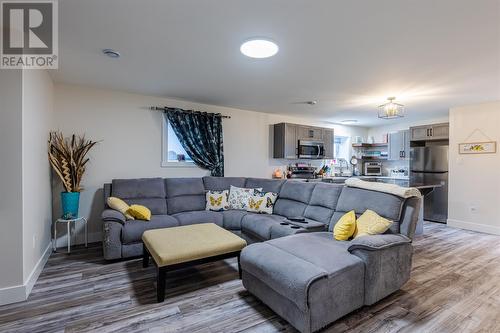 8 Ocean View Brae Other, Bay Bulls, NL - Indoor Photo Showing Living Room