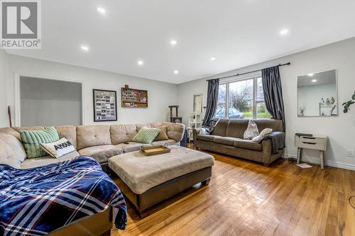 7 Torbay Road, St. John'S, NL - Indoor Photo Showing Living Room