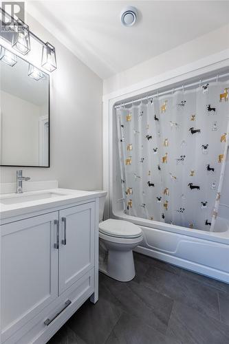 8 Ocean View Brae Other, Bay Bulls, NL - Indoor Photo Showing Bathroom