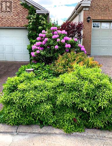 seasonal foliage view 3 - 8 Compass Rose Court, Bedford, NS - Outdoor