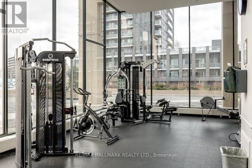 307 - 797 Don Mills Road, Toronto, ON - Indoor Photo Showing Gym Room