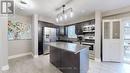 3 Samuel Drive, Guelph, ON  - Indoor Photo Showing Kitchen 