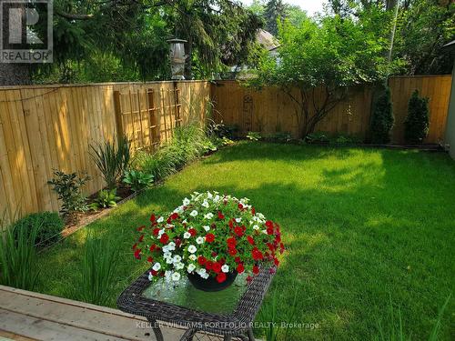 49 White Birch Road, Toronto, ON - Outdoor With Backyard