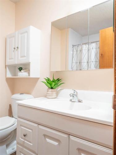 31 Leclair Place, Winnipeg, MB - Indoor Photo Showing Bathroom