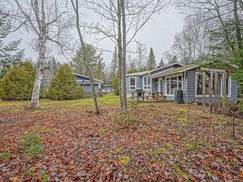 Backyard - 111 Ch. De La Baie-De-L'Ours N., Saint-Donat, QC - Outdoor