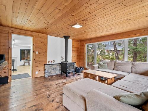 Living room - 111 Ch. De La Baie-De-L'Ours N., Saint-Donat, QC - Indoor Photo Showing Living Room With Fireplace