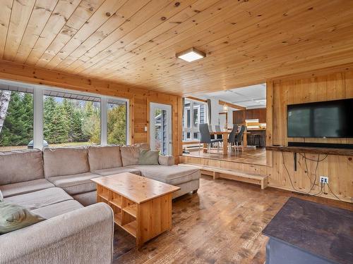 Living room - 111 Ch. De La Baie-De-L'Ours N., Saint-Donat, QC - Indoor Photo Showing Living Room