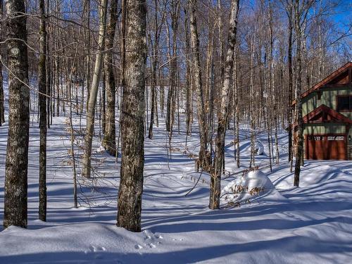 Cour - 75 Ch. Marc-Aurèle-Fortin, Mont-Tremblant, QC - Outdoor With View