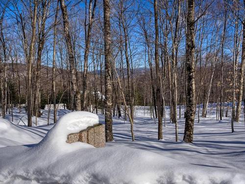 Cour - 75 Ch. Marc-Aurèle-Fortin, Mont-Tremblant, QC - Outdoor With View