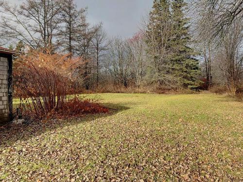 Land/Lot - 87 Boul. Gérard-D.-Levesque O., Paspébiac, QC - Outdoor With View