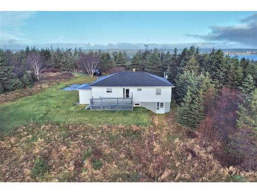 64 Bareneed Road, Bareneed, NL 