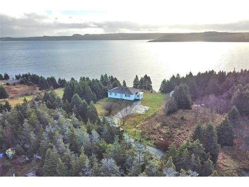 64 Bareneed Road, Bareneed, NL 