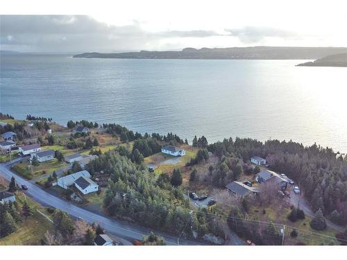 64 Bareneed Road, Bareneed, NL 