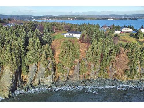 64 Bareneed Road, Bareneed, NL 