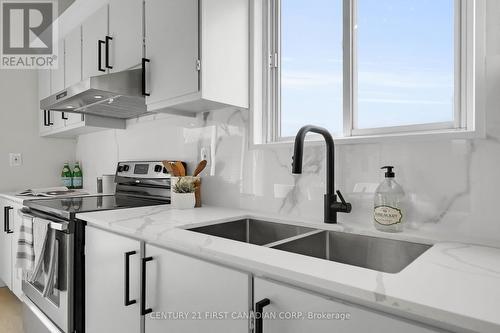 1025 Trafalgar Street, London, ON - Indoor Photo Showing Kitchen With Double Sink