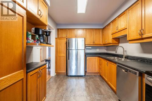 85 Royalvista Drive, Hamilton, ON - Indoor Photo Showing Kitchen With Double Sink