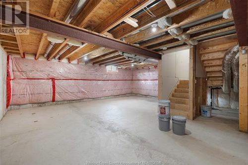 1220 Kamloops, Windsor, ON - Indoor Photo Showing Basement