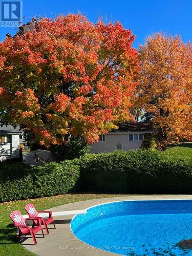 88 Ashgrove Crescent, Ottawa, ON - Outdoor With In Ground Pool With Backyard