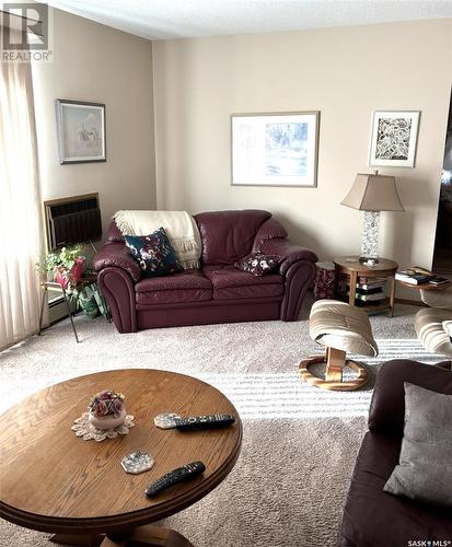 201 3140 Louise Street, Saskatoon, SK - Indoor Photo Showing Living Room