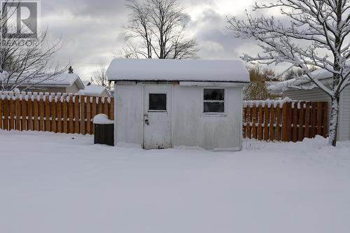 19 Clergue St, Sault Ste. Marie, ON - Outdoor